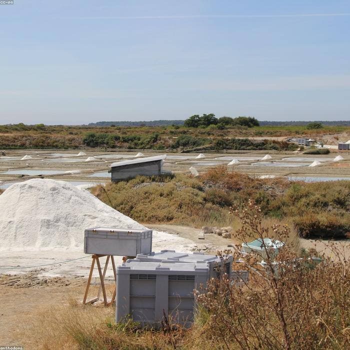 Blessed Salt — Spiritual Warfare Edition